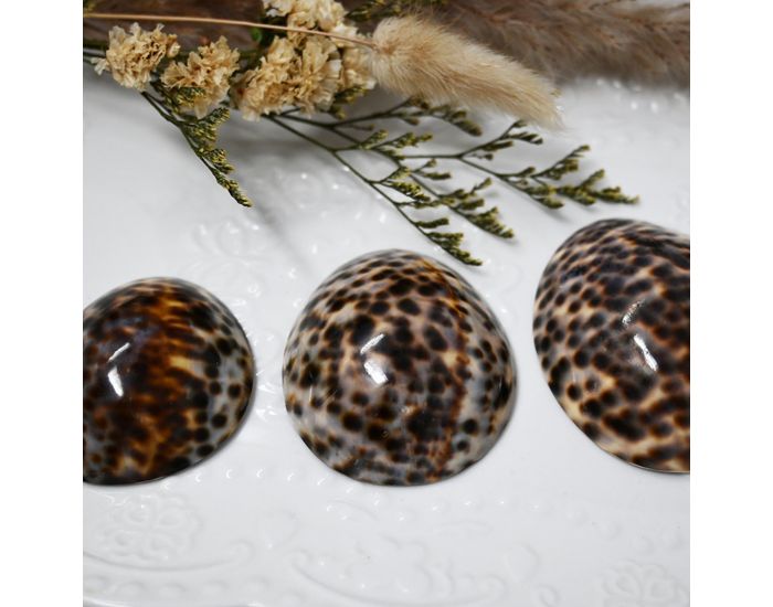 IRR�VERSIBLE Coquillage d'Allaitement Mammaire - Brillant