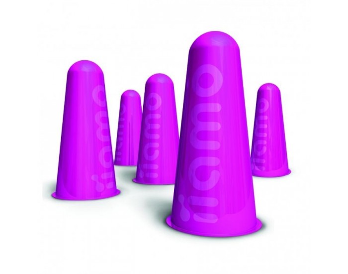 IIAMO Iiamo Go Pack 5 cartouches chauffantes