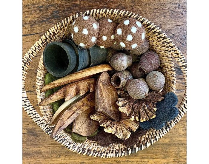 PAPOOSE TOYS Panier Tr�sors de la Nature - D�s 3 ans