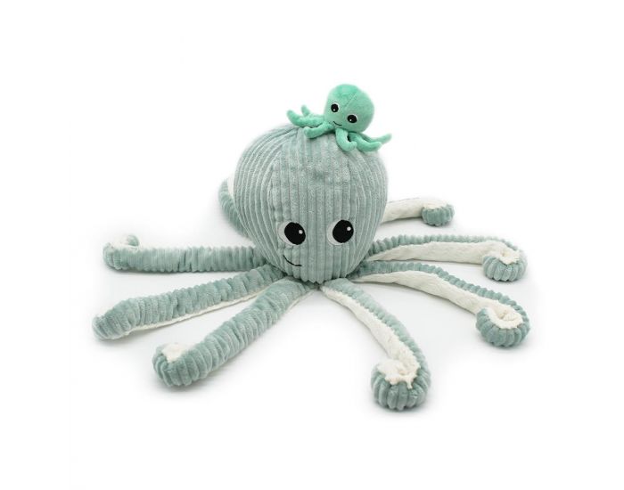 LES D�GLINGOS Peluche Ptipotos - Pieuvre Filou - Menthe - D�s 12 mois