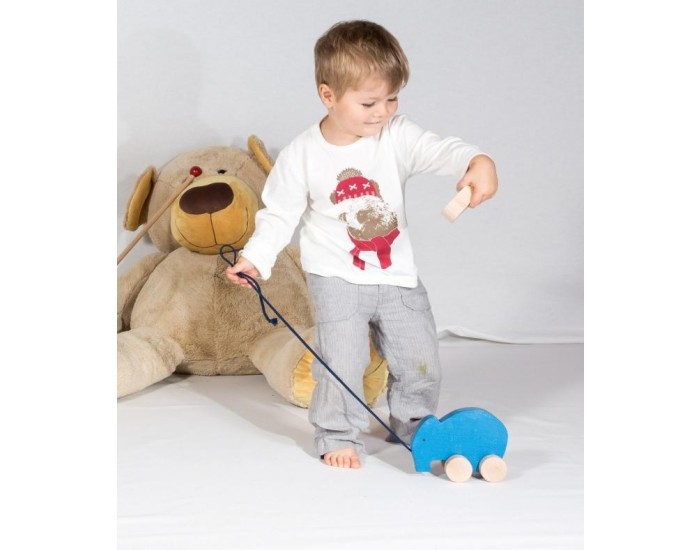 REVE DE PAN Barry l'lphant et son lphanteau