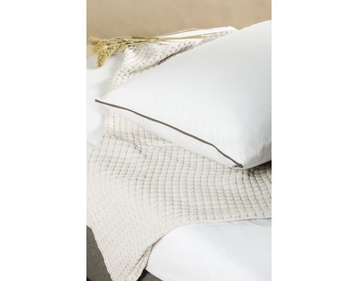 KADOLIS Oreiller - Maui Enveloppe Coton Bio - Confort Medium