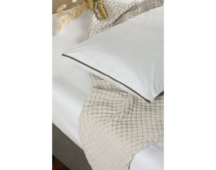 KADOLIS Oreiller - Maui Enveloppe Coton Bio - Confort Moelleux