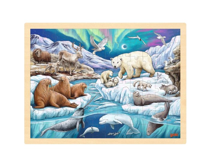 GOKI Puzzle Nuit Polaire - D�s 6 ans