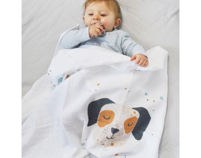 CAROTTE & CIE Maxi lange Chien CAROTTE&CIE