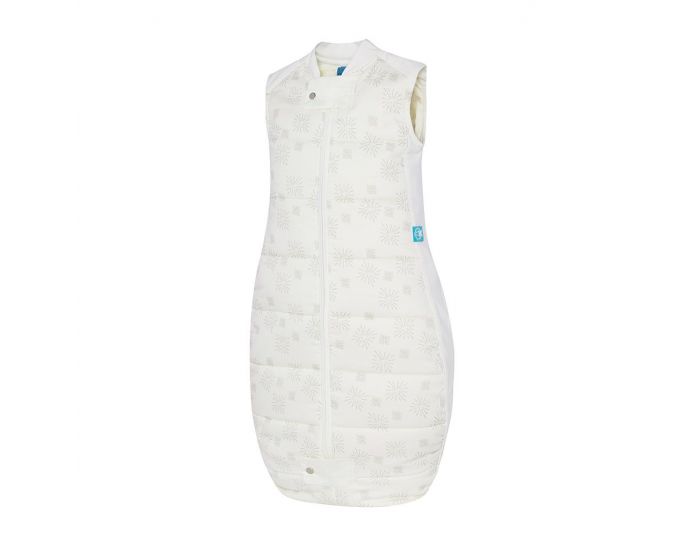 ERGOPOUCH Gigoteuse 2-12 mois - Hiver - TOG 2,5
