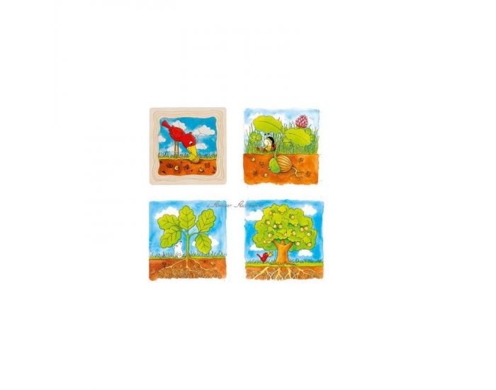 Puzzle cycle Arbre - Ds 3 ans