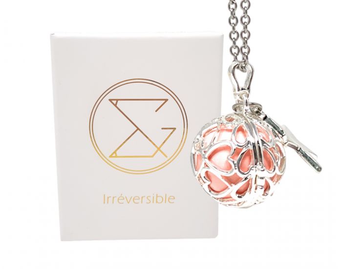 IRREVERSIBLE Bola de Grossesse Cage