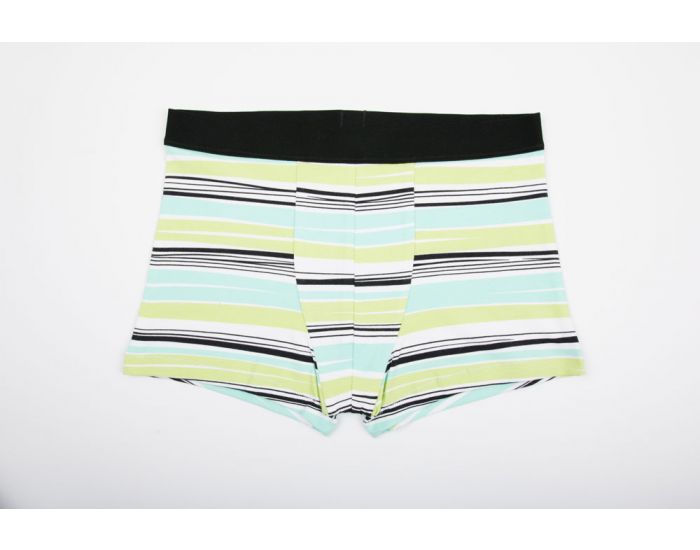 BIOLUNES Boxer en Coton Bio Ray Vert Waves
