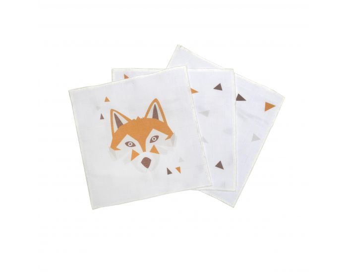 CAROTTE & CIE Lot de 3 grandes lingettes lavables