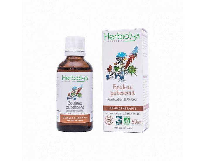 HERBIOLYS Bourgeons de Bouleau pubescent Bio - 50 ml