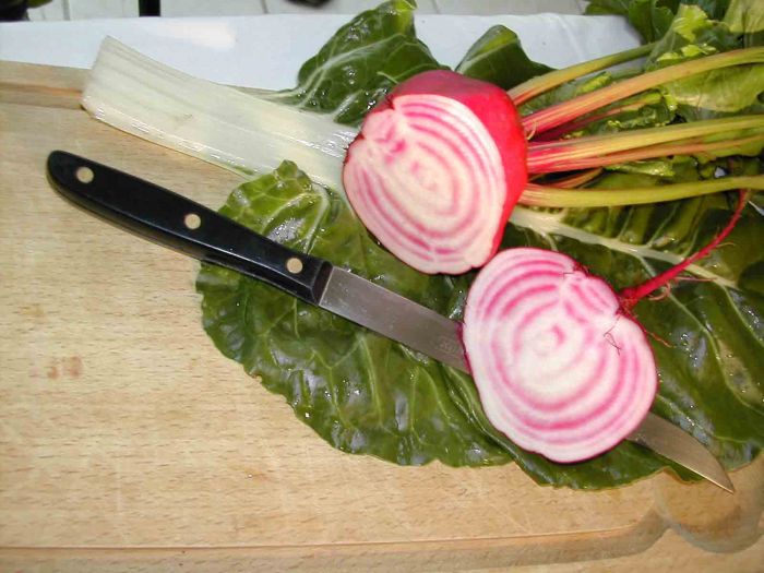Betterave ronde de chioggia