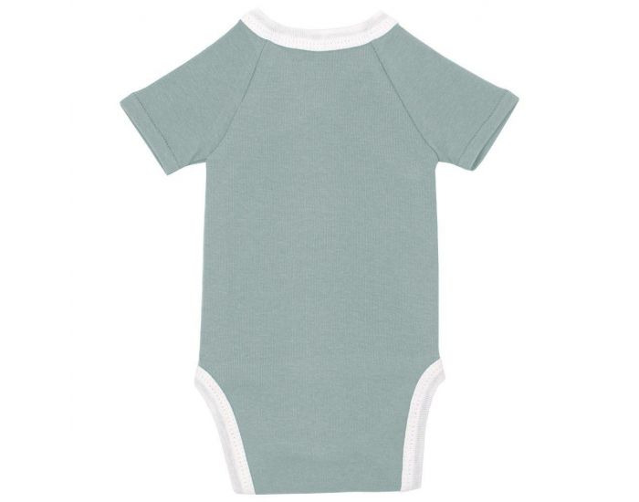  Body crois� Manches Courtes - 100% Coton Bio - For�t (1)