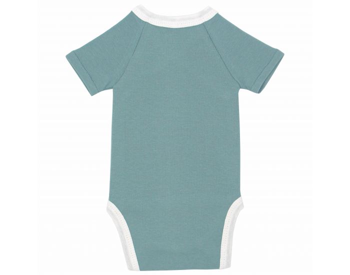  Body crois� Manches Courtes - 100% Coton Bio - For�t (13)