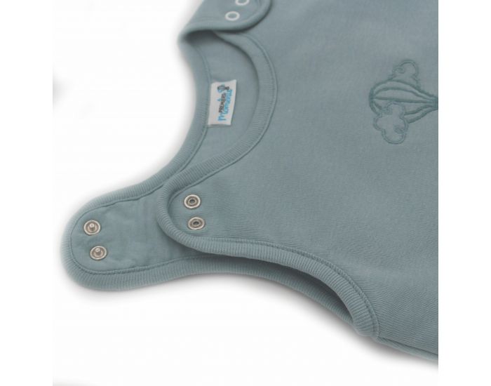 PREMIERS MOMENTS Gigoteuse Mi-saison - 0-3 mois  (6)