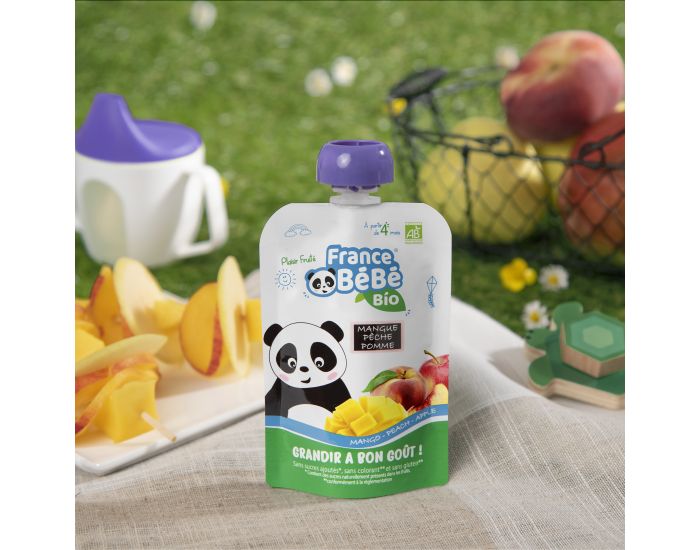 FRANCE B�B� BIO Pack 10 Gourdes De Pur�e De Fruits - Mangue P�che Pomme - D�s 4 mois - 10x100g (1)