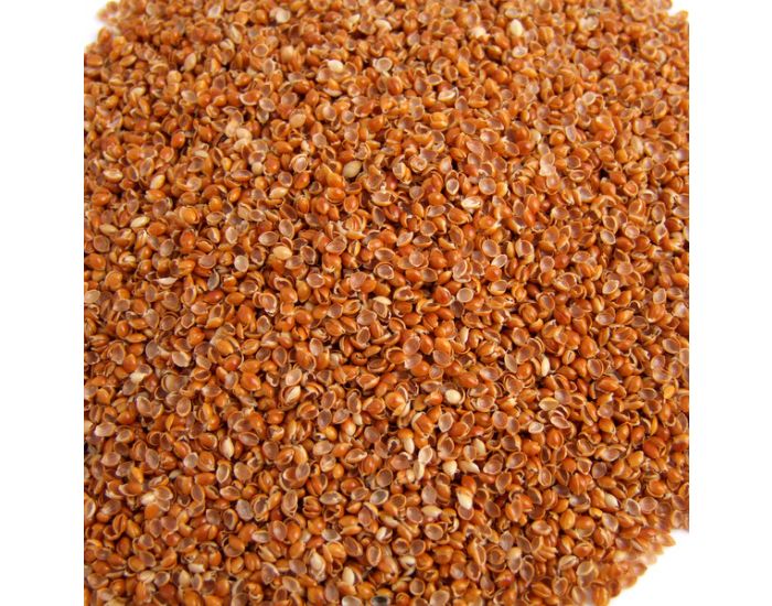 MILLE OREILLERS Oreiller Balles De Millet En Coton Biologique (1)