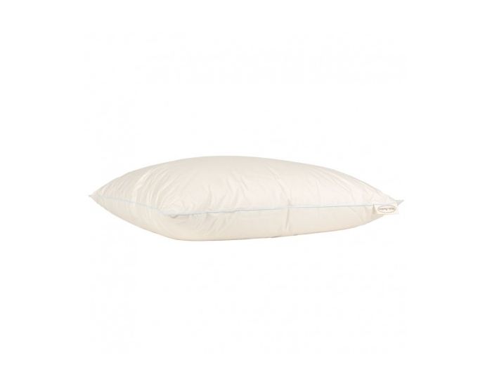 MILLE OREILLERS Oreiller Duvet D'Oie En Coton Bio (1)