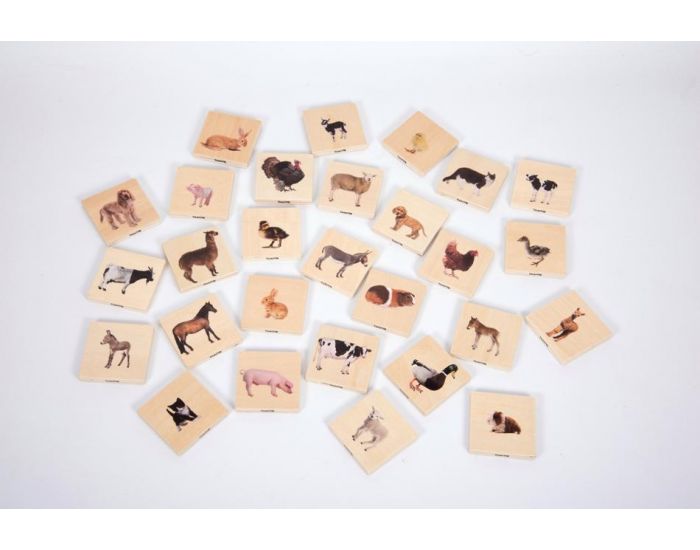 TICKIT Memory Animaux Domestiques - D�s 12 Mois (1)