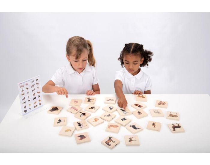 TICKIT Memory Animaux Domestiques - D�s 12 Mois (2)