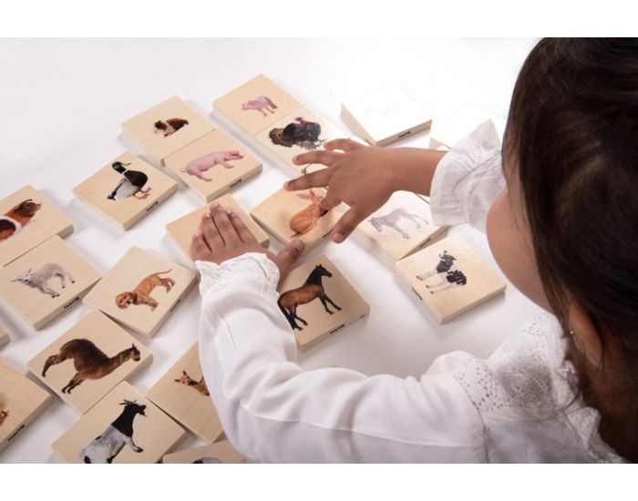 TICKIT Memory Animaux Domestiques - D�s 12 Mois (3)