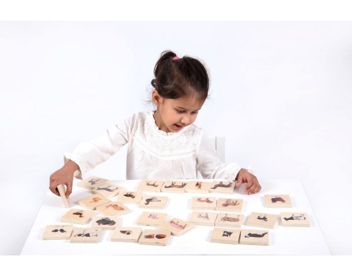 TICKIT Memory Animaux Domestiques - D�s 12 Mois (4)