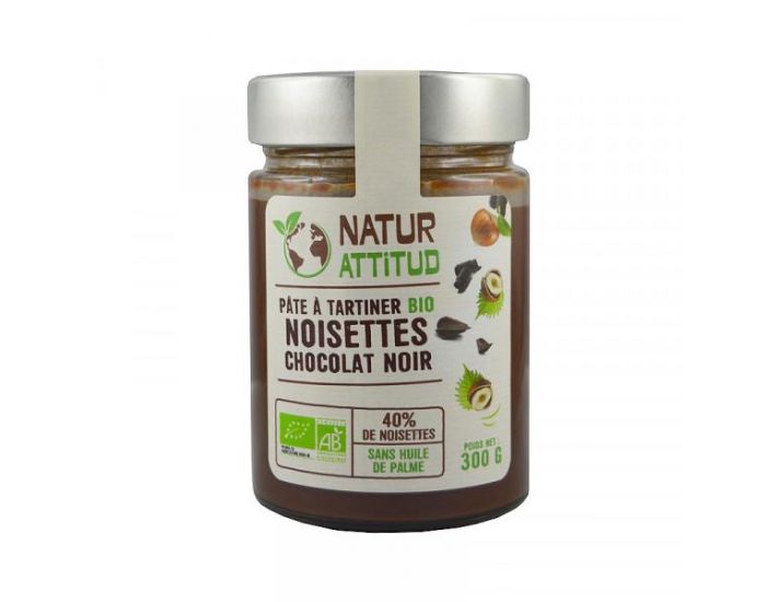 FRUCTIVIA Pte  Tartiner Bio Noisettes Chocolat Noir - 300 g (1)