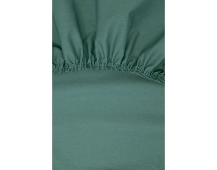 KADOLIS Drap Housse Tencel� Active Clim Adulte Eucalyptus (2)