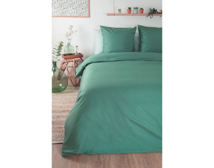 KADOLIS Drap Housse Tencel� Active Clim Adulte Eucalyptus (11)