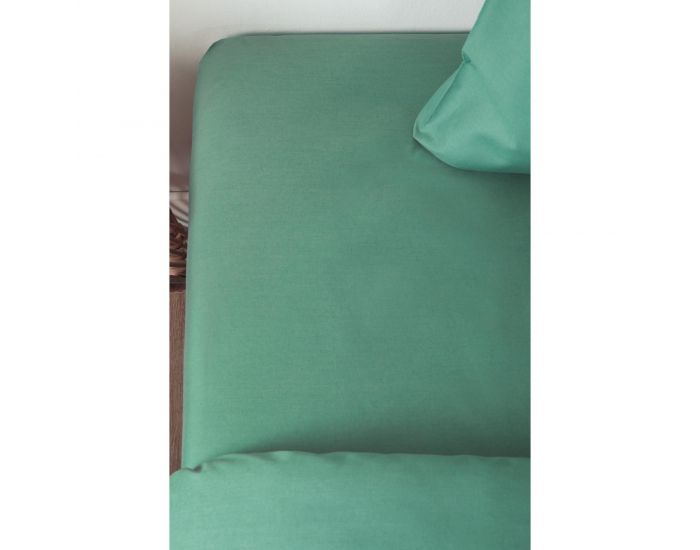 KADOLIS Drap Housse Tencel� Active Clim Adulte Eucalyptus (12)