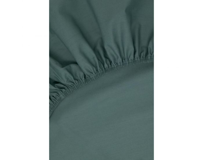 KADOLIS Drap Housse Tencel� Active Clim Adulte Eucalyptus (13)