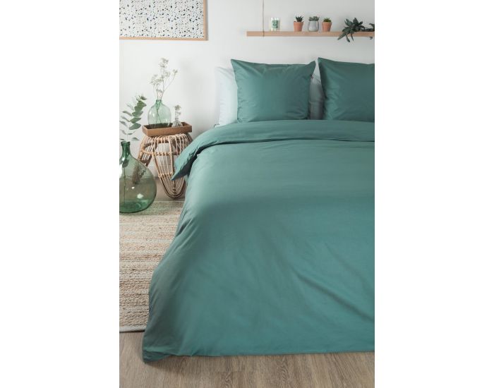 KADOLIS Drap Housse Tencel� Active Clim Adulte Eucalyptus (3)