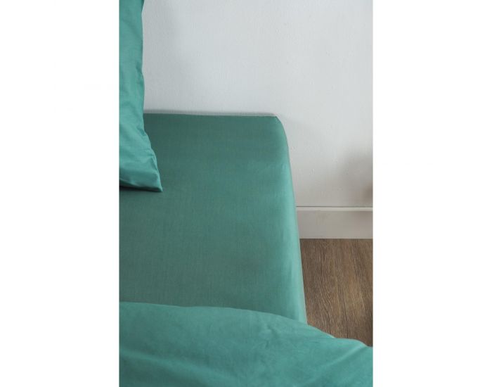 KADOLIS Drap Housse Tencel� Active Clim Adulte Eucalyptus (9)