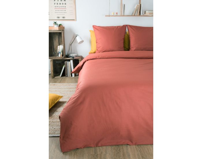 KADOLIS Drap Housse Tencel� Active Clim Adulte Terracotta (3)