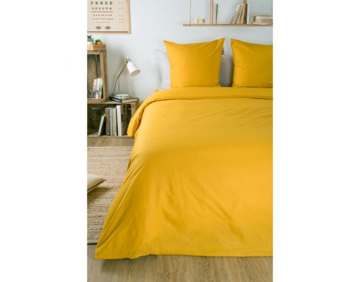 KADOLIS Drap Housse Tencel� Active Clim Adulte Miel (11)