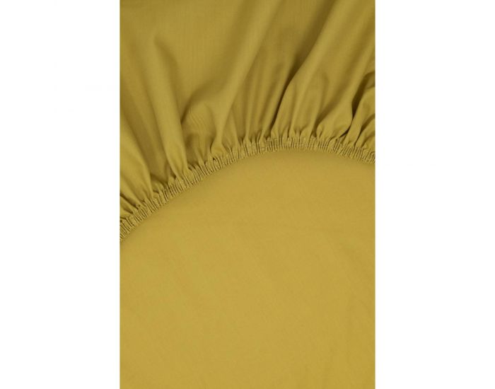 KADOLIS Drap Housse Tencel� Active Clim Adulte Miel (15)