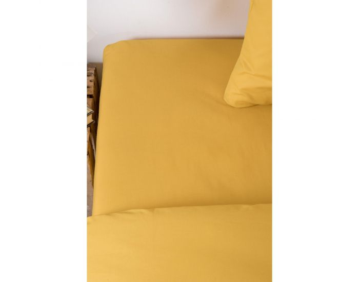 KADOLIS Drap Housse Tencel� Active Clim Adulte Miel (8)