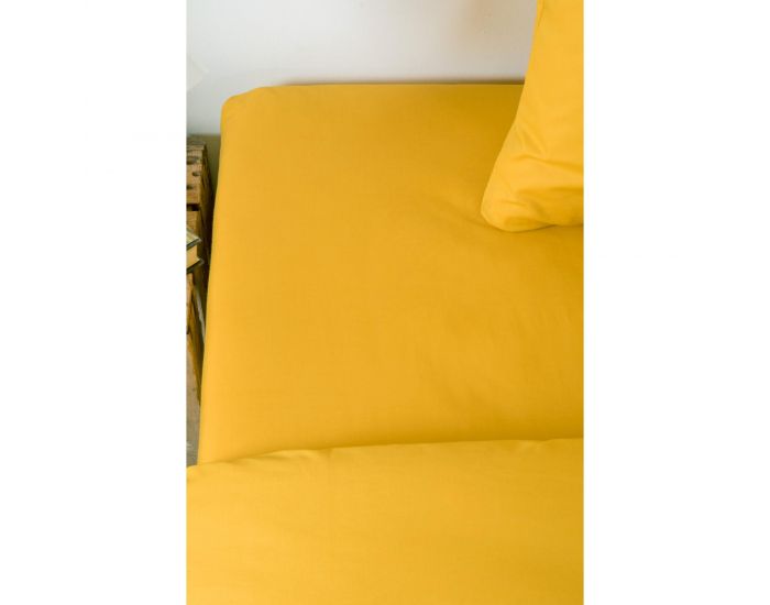 KADOLIS Drap Housse Tencel� Active Clim Adulte Miel (10)