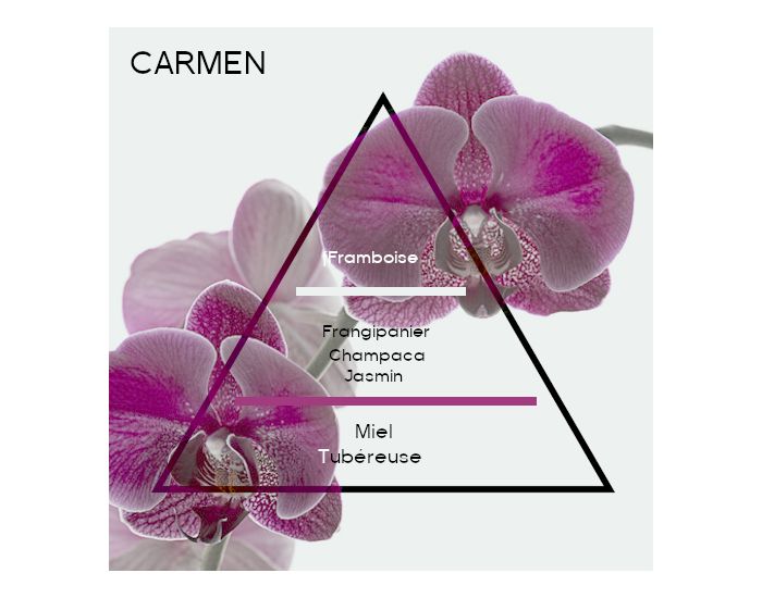 NATURAE Parfum Solide - Fleuri Gourmand Carmen - 10 g (1)