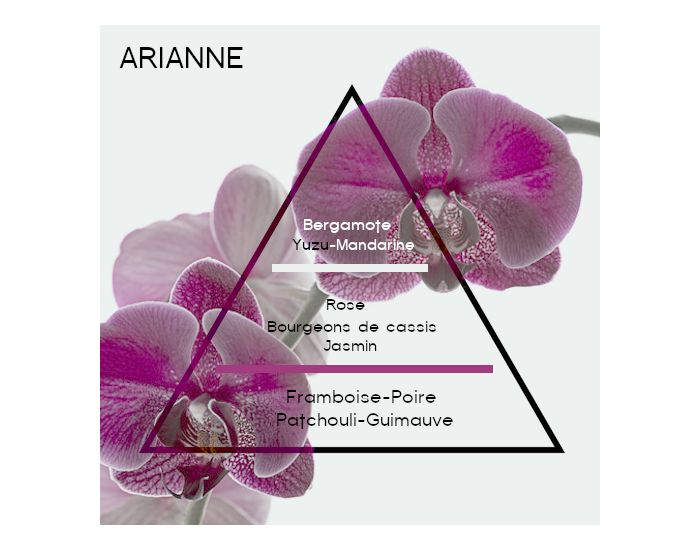 NATURAE Parfum Solide - Fleuri Fruit Arianne - 10 g (1)