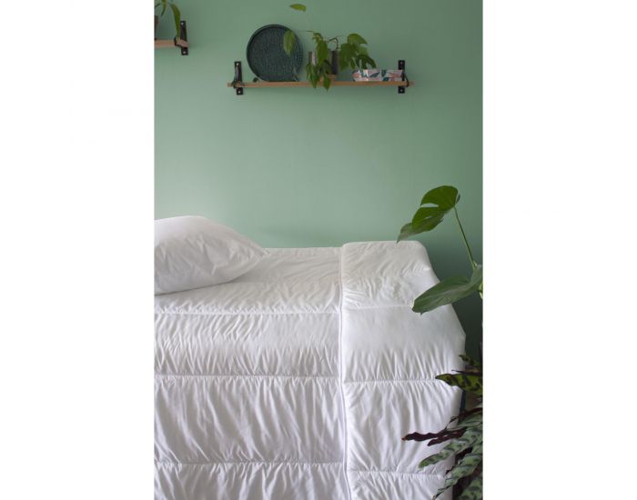 KADOLIS Couette Adulte Clim Plus Coton Bio et Tencel (25)