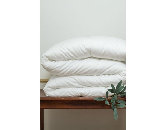 KADOLIS Couette Adulte Clim Plus Coton Bio et Tencel (27)