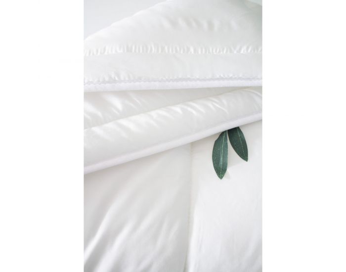 KADOLIS Couette Adulte Clim Plus Coton Bio et Tencel (28)