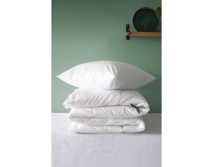 KADOLIS Couette Adulte Clim Plus Coton Bio et Tencel (4)