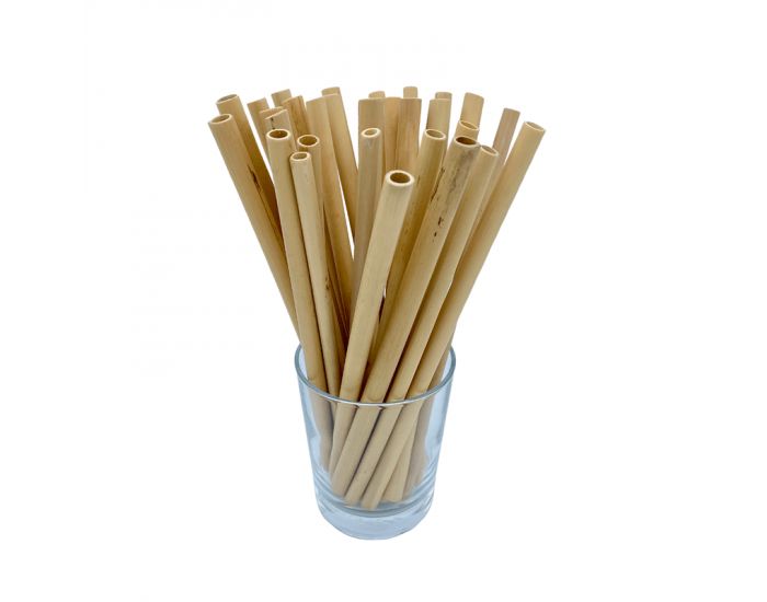 LES PAILLES.COM Paille Bambou (2)