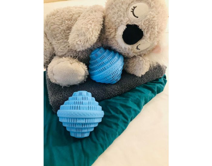  LES GARGOUILLES Gargouilles Lessive 100% Zro Dchet (2)