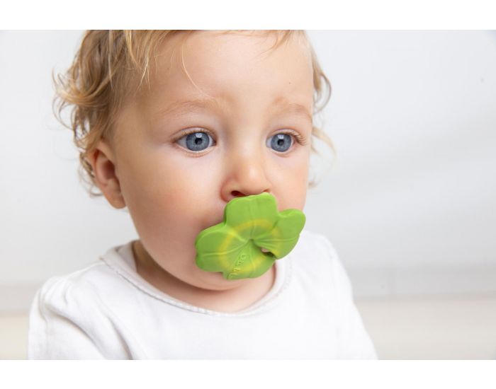 OLI & CAROL Chewy - Eli Le Tr�fle - D�s la Naissance (1)