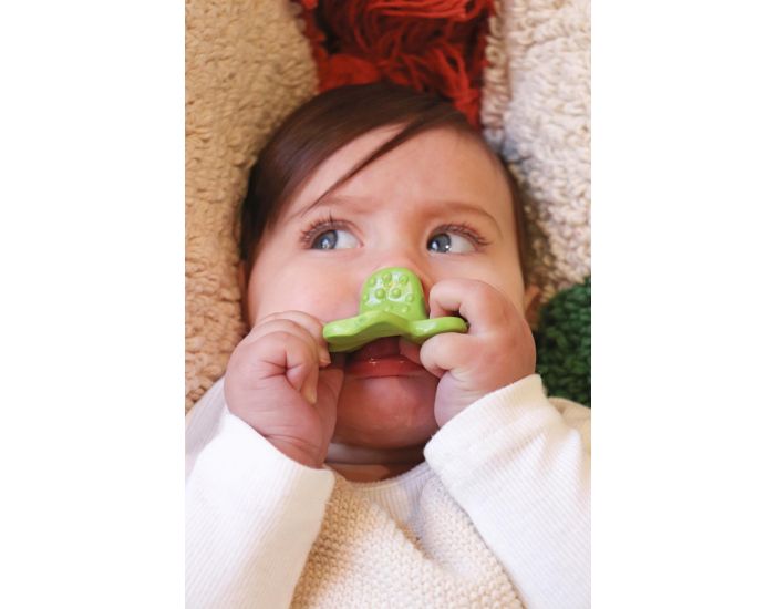 OLI & CAROL Chewy - Eli Le Tr�fle - D�s la Naissance (2)