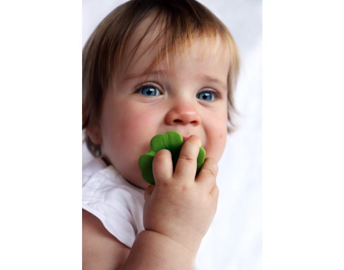 OLI & CAROL Chewy - Eli Le Tr�fle - D�s la Naissance (11)