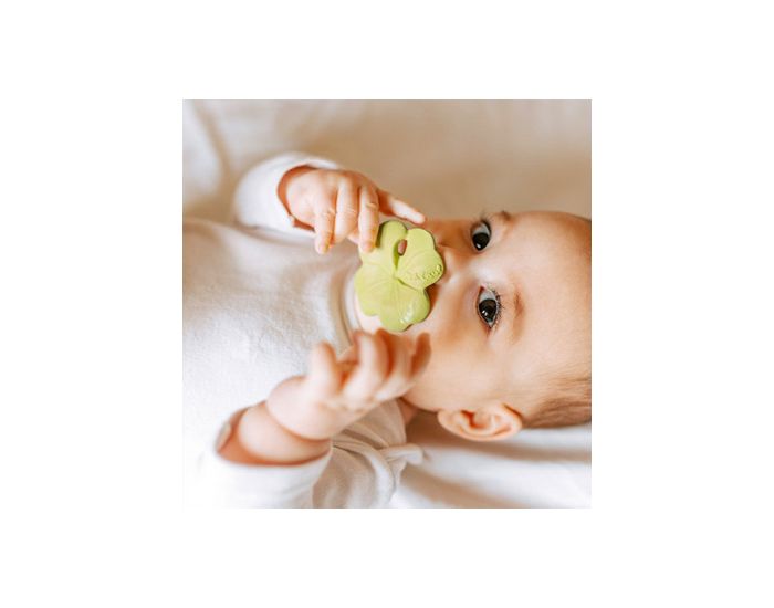 OLI & CAROL Chewy - Eli Le Tr�fle - D�s la Naissance (12)